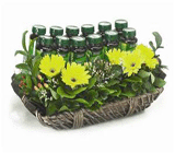 Joyous Gift Hamper 